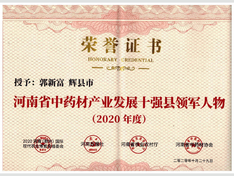 2020中藥材十強縣領軍人物