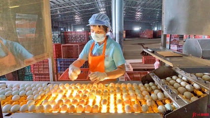 網眼看欽州|誠信食品企業開放日，“零距離”感受放心食品